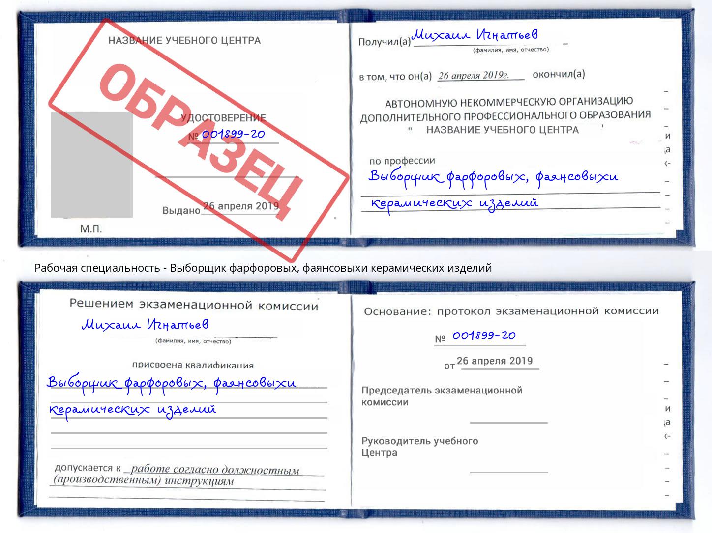 Выборщик фарфоровых, фаянсовыхи керамических изделий Славгород