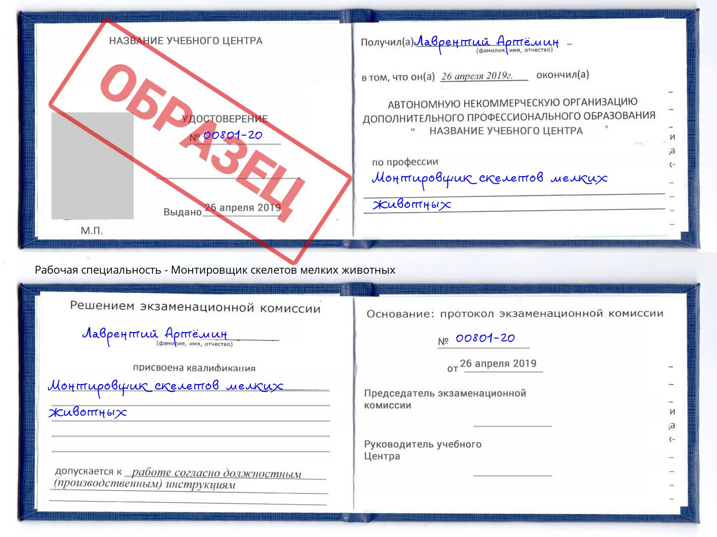 Монтировщик скелетов мелких животных Славгород