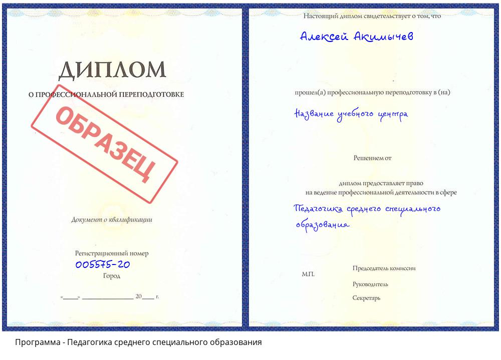 Педагогика среднего специального образования Славгород