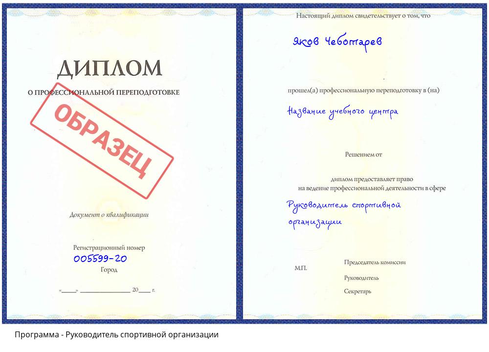 Руководитель спортивной организации Славгород