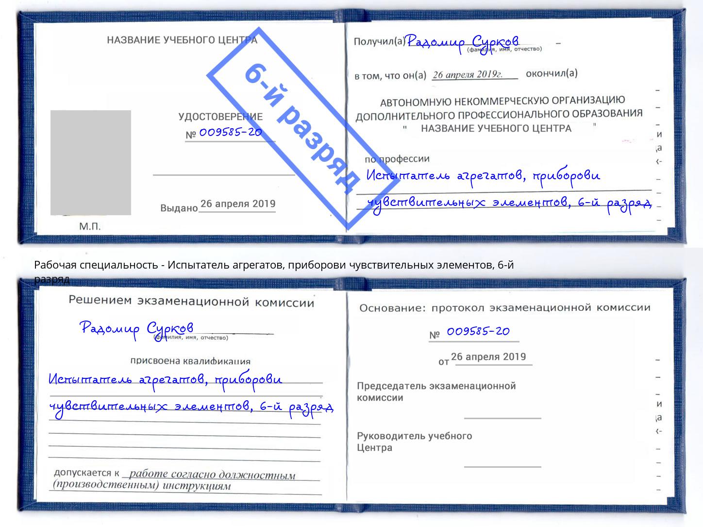 корочка 6-й разряд Испытатель агрегатов, приборови чувствительных элементов Славгород