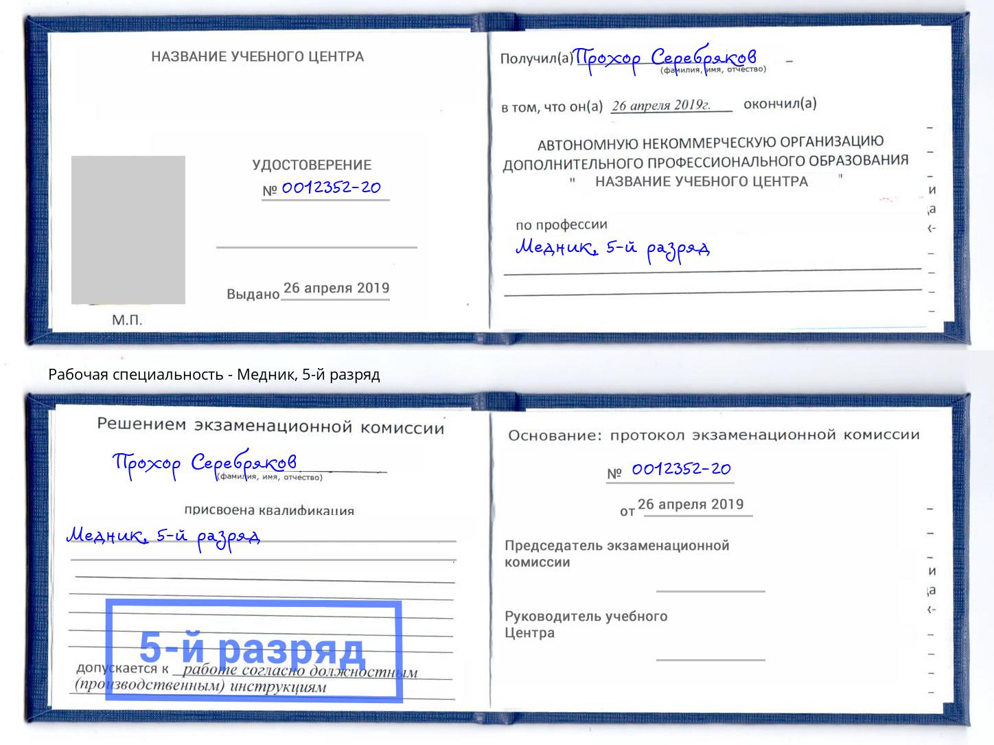 корочка 5-й разряд Медник Славгород