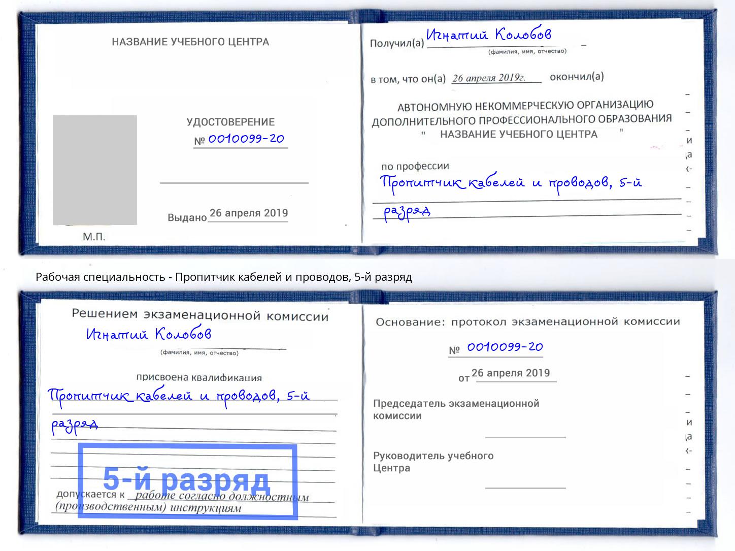 корочка 5-й разряд Пропитчик кабелей и проводов Славгород