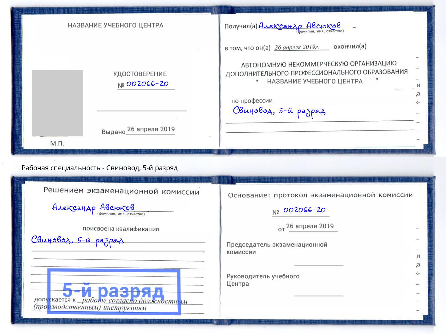 корочка 5-й разряд Свиновод Славгород