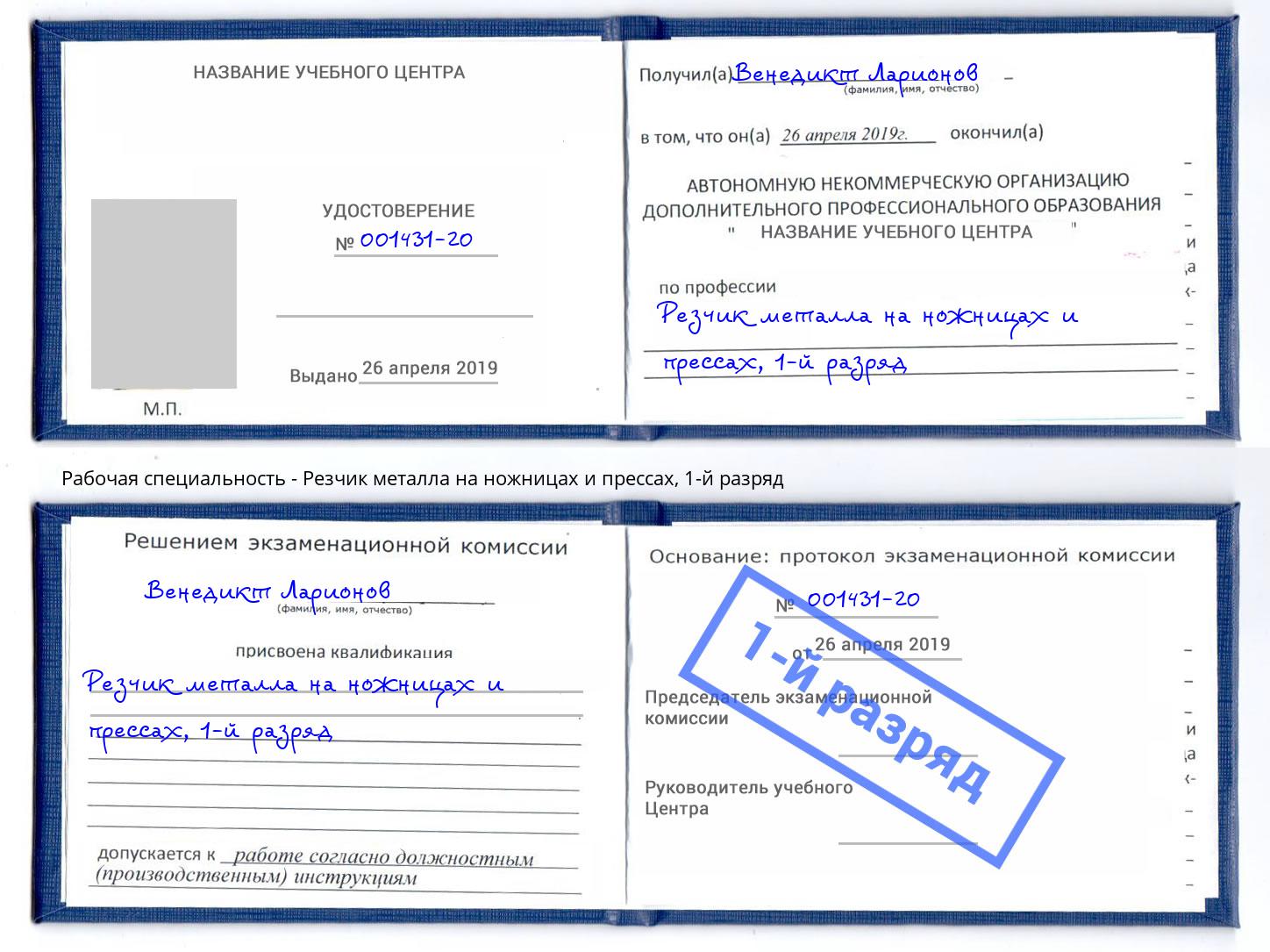 корочка 1-й разряд Резчик металла на ножницах и прессах Славгород
