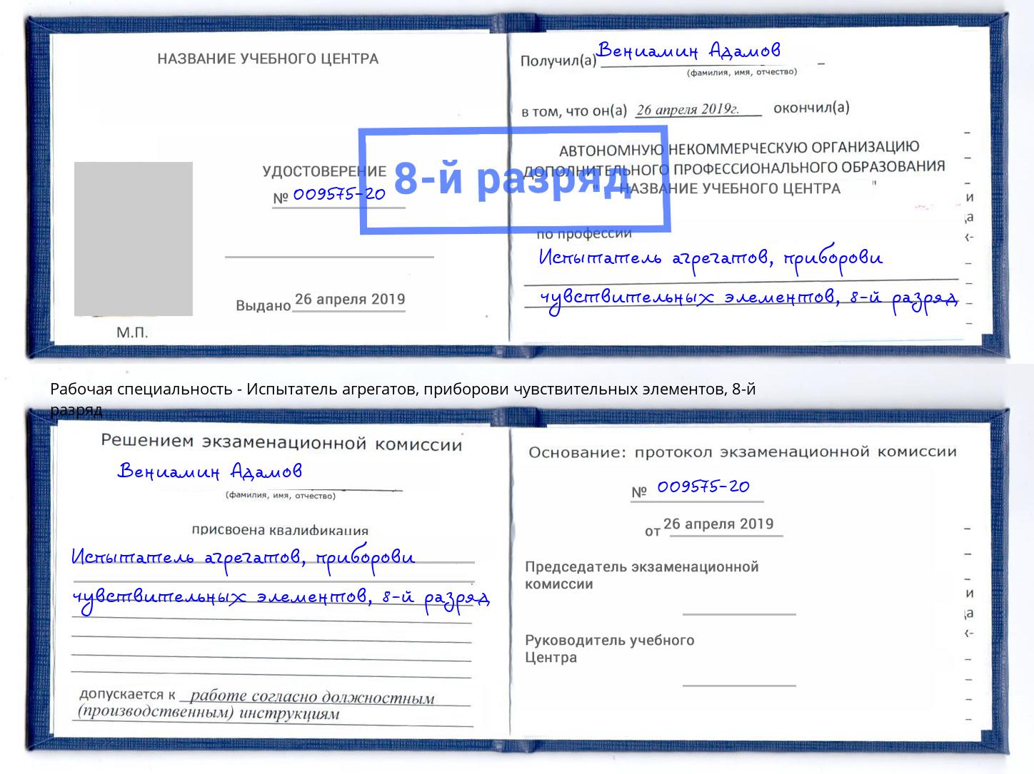 корочка 8-й разряд Испытатель агрегатов, приборови чувствительных элементов Славгород
